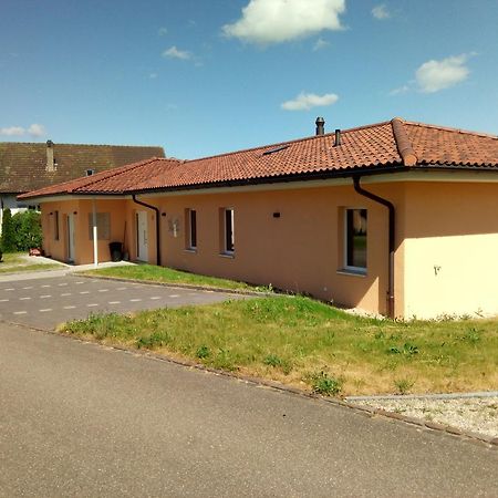 Bed And Breakfast Villa Hallau Extérieur photo