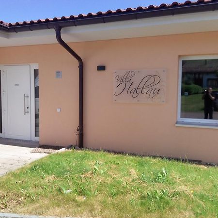 Bed And Breakfast Villa Hallau Extérieur photo